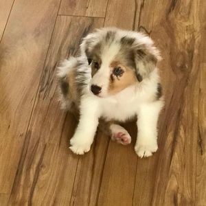 Meet your Posher, Colleen